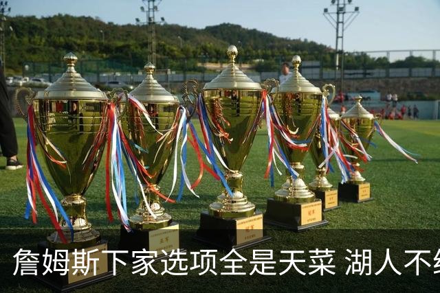 詹姆斯下家选项全是天菜 湖人不给的体面这些队能给